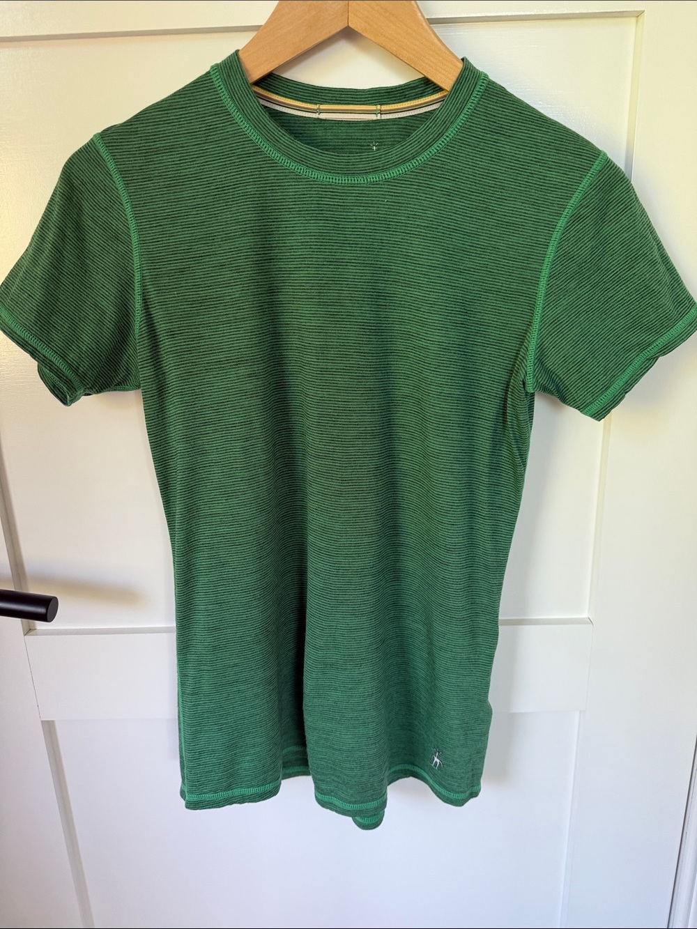 Smartwool 100% Merino Wool Green Striped T Small